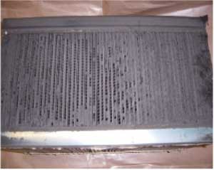 カビが発生したダクト式熱交換換気システムの素子